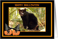 Halloween Geoffroy Cat card