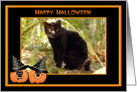 Halloween Geoffroy Cat card