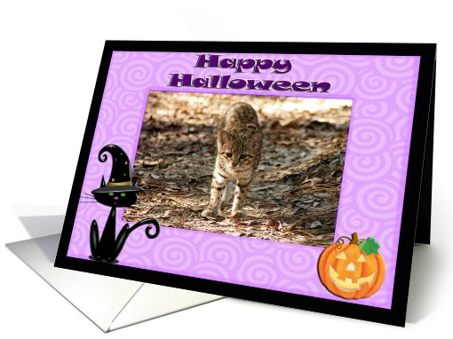 Halloween Geoffroy Cat card (481892)