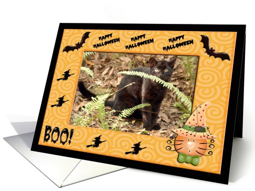 Halloween Geoffroy Cat card (481894)