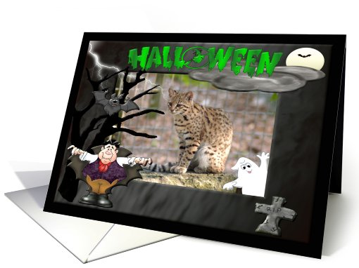 Halloween Geoffroy Cat card (481995)