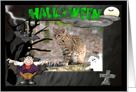 Halloween Geoffroy Cat card