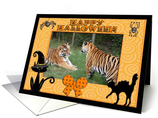 Halloween Tigers card (482002)