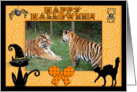 Halloween Tigers card