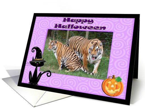 Halloween Tigers card (482209)