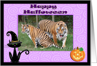 Halloween Tigers card