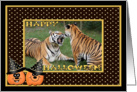 Halloween Tigers card