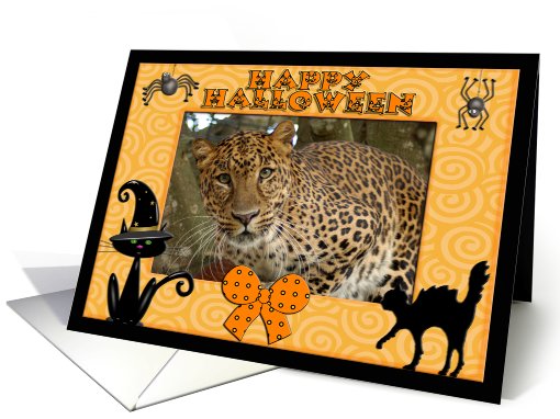 Halloween Leopard card (482232)