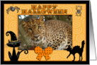 Halloween Leopard card