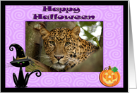 Halloween Leopard card