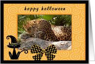 Halloween Leopard card