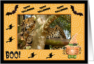 Halloween Leopard card