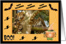 Halloween Leopard card