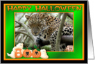 Halloween Leopard card