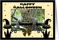 Halloween Leopard card