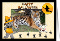 Halloween Tiger card