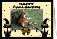 Halloween Tiger card