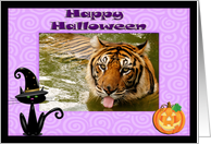 Halloween Tiger card