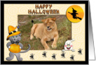 Halloween Lion card