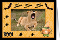 Halloween Lion card