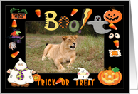 Halloween Lion card