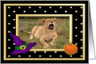Halloween Lion card