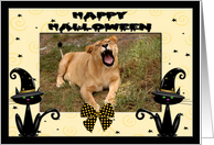 Halloween Lion card