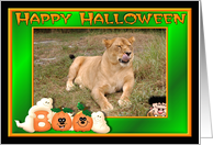 Halloween Lion card