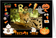 Halloween African Serval Cat card