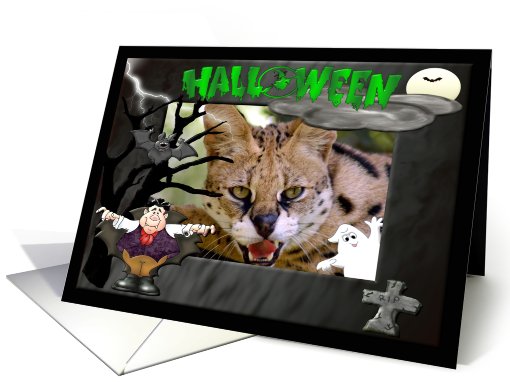 Halloween African Serval Cat card (482295)