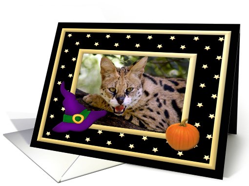 Halloween African Serval Cat card (482298)