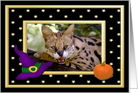 Halloween African Serval Cat card