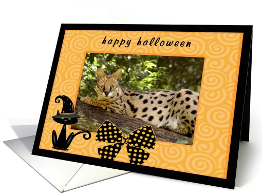 Halloween African Serval Cat card (482301)