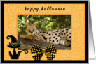 Halloween African Serval Cat card