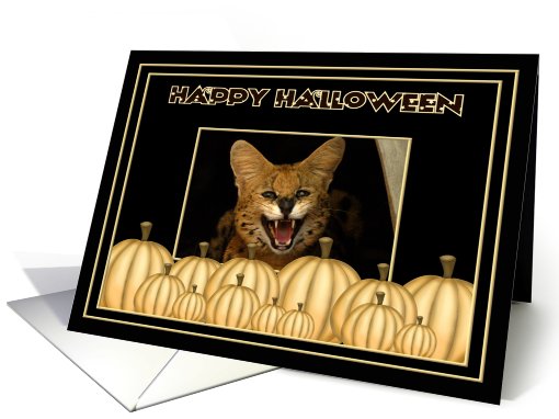 Halloween African Serval Cat card (482303)