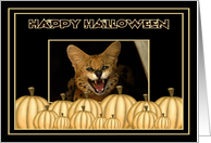 Halloween African Serval Cat card