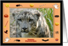 Halloween Snow Leopard card