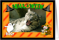 Halloween Snow Leopard card