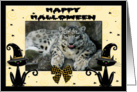 Halloween Snow Leopard card