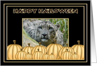 Halloween Snow Leopard card