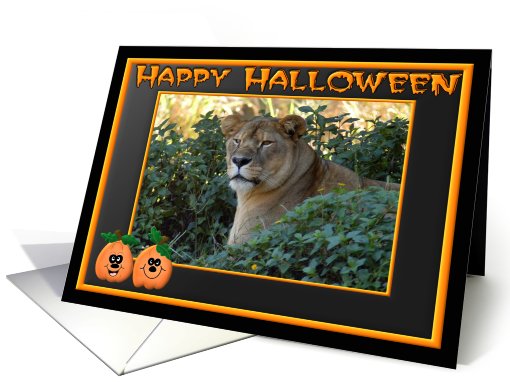 Halloween Barbary Lion card (482348)