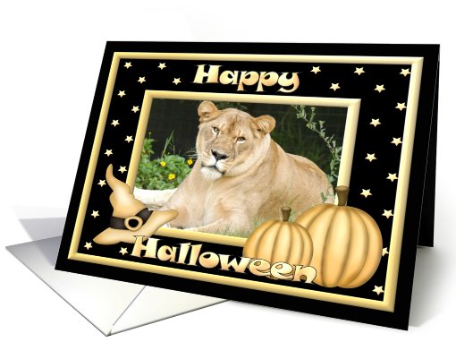 Halloween Barbary Lion card (482350)