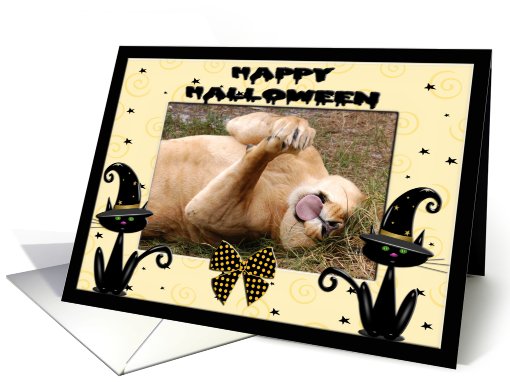 Halloween Barbary Lion card (482352)