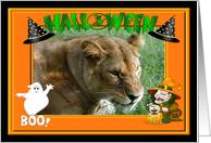 Halloween Barbary Lion card