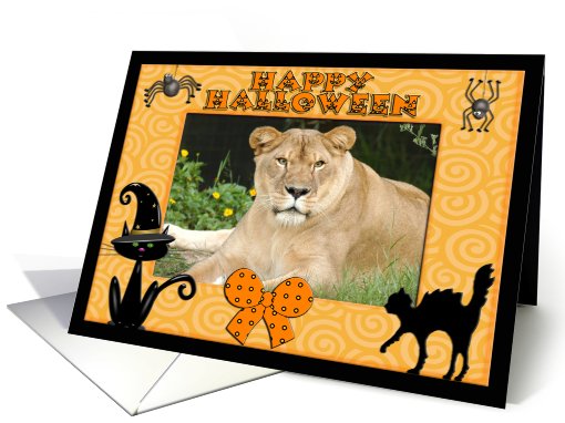 Halloween Barbary Lion card (482354)