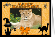 Halloween Barbary Lion card