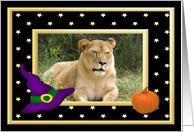 Halloween Barbary Lion card