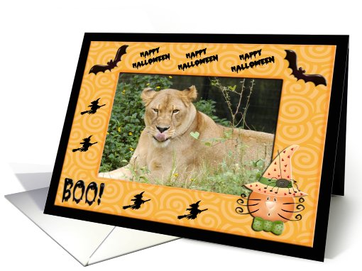 Halloween Barbary Lion card (482359)