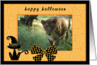 Halloween Barbary Lion card