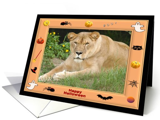 Halloween Barbary Lion card (482362)